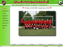 www.jugendfussball-ilvesheim.de